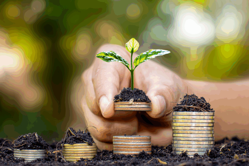 Basic Pension Challenge